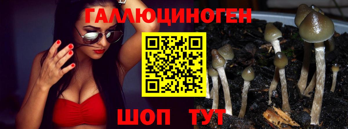 Галлюциногенные грибы мухоморы Звенигород