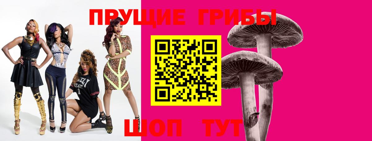 цены наркотик  Вход с VPN  Звенигород  Псилоцибиновые грибы мицелий 